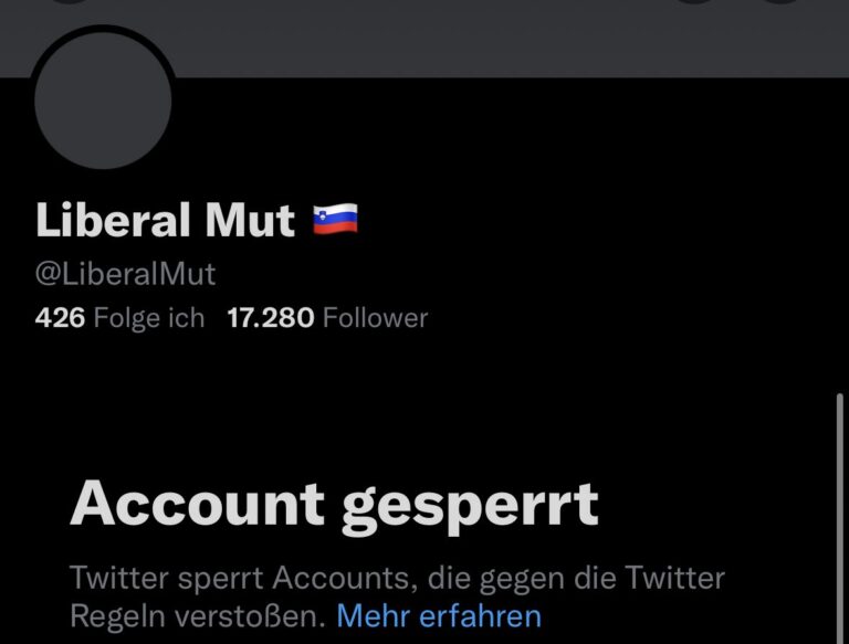 Liberal Mut Twitter“ erklärt: Zwischen Progressivität, Blockkultur und digitalem Aktivismus